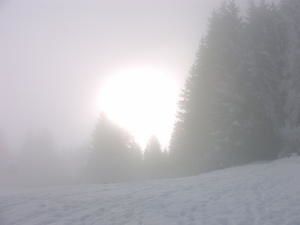 2janvier-004.jpg