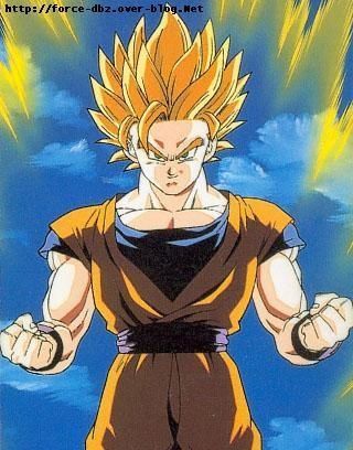 http://idata.over-blog.com/0/24/96/59/fotos-saiyens--/sangoku-supersj.jpg