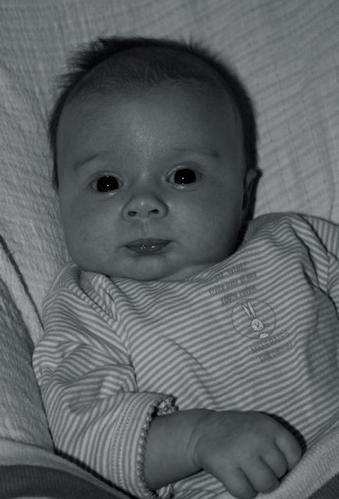 IMG-2424-2-2.jpg
