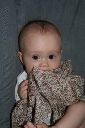 IMG_2996.jpg