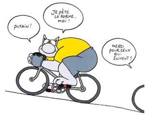 chat frejus