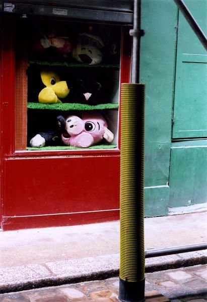 cochon.jpg