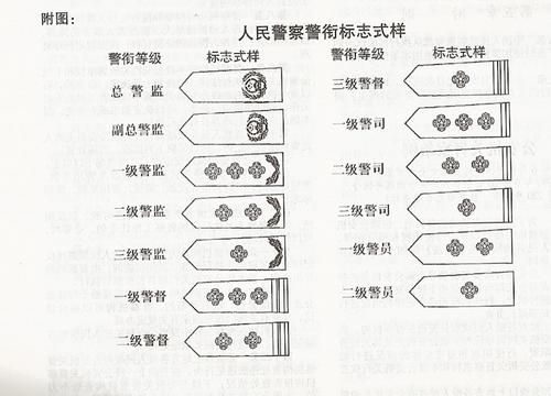 Image-7-copie-1.jpg