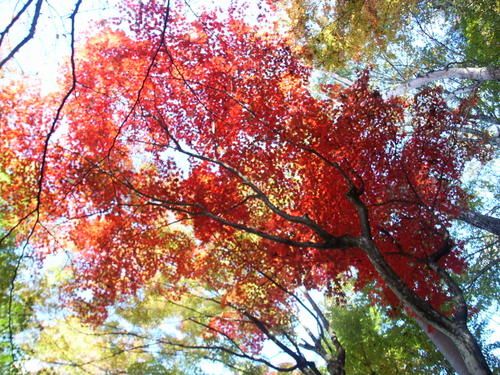PICT0193.JPG