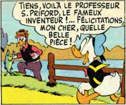 Professeur S.Priford