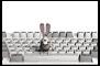 clavier-lapin.gif