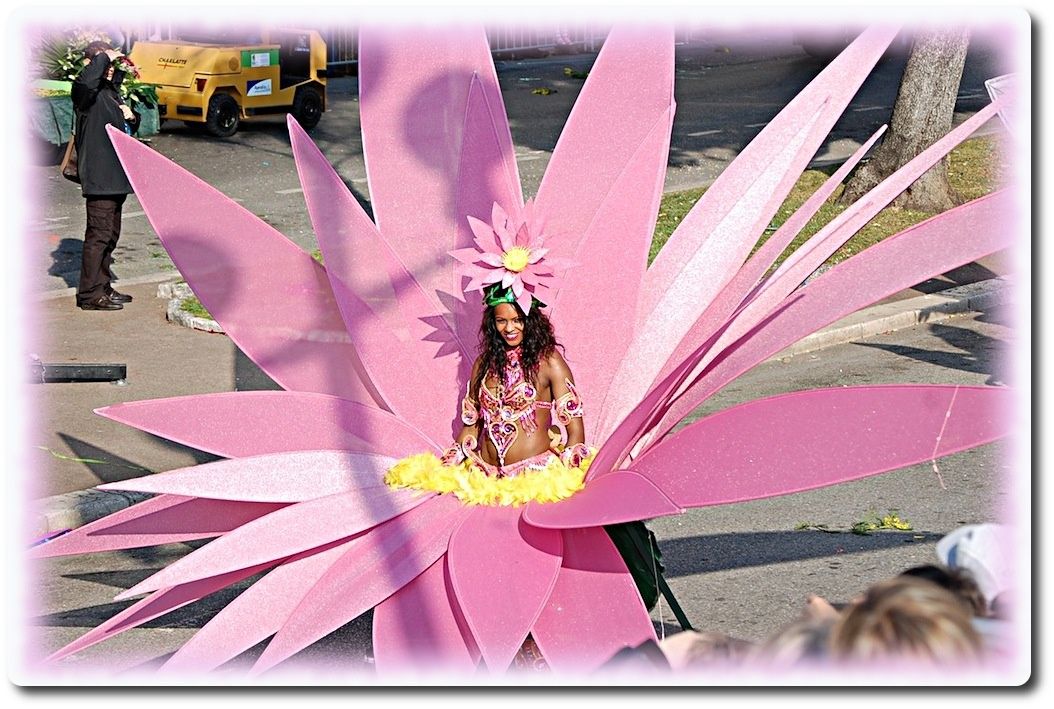 D�autres fleurs grandeur nature ! Coincoin et
