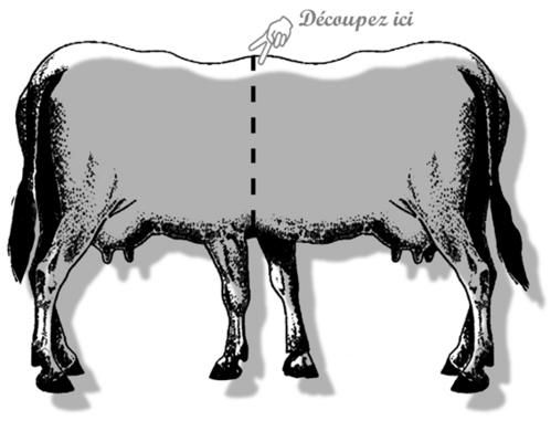 image-expo-bertholon-vache-pointilles-pla.jpg
