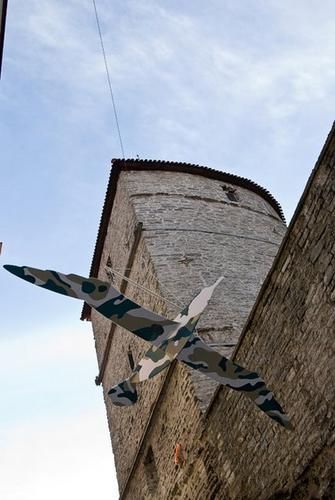 mouette----tallinn-2.jpg