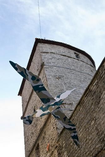 mouette----tallinn-copie-1.jpg