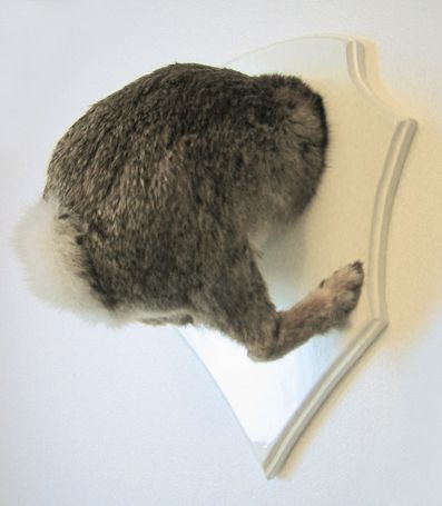 troch---lapin-1-NET.jpg