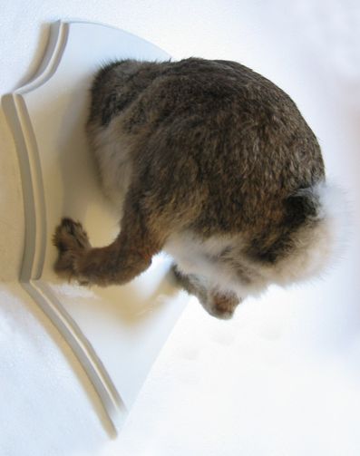 troch---lapin-3-NET.jpg