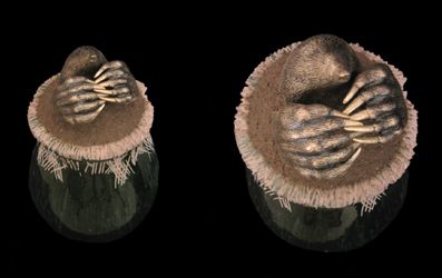 double-pots-mains-crois--es2.jpg