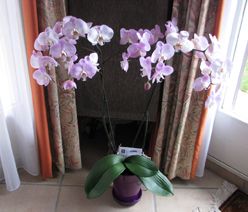 IMG_1152.JPG