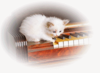 chat animé piano