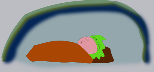 hibernatus