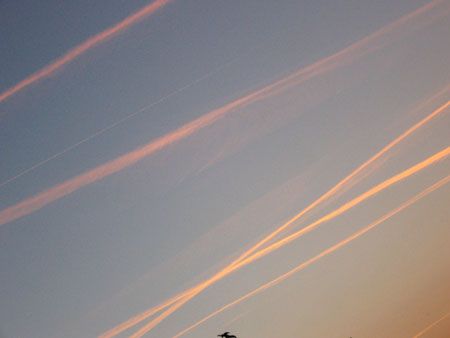 chemtrails1.jpg