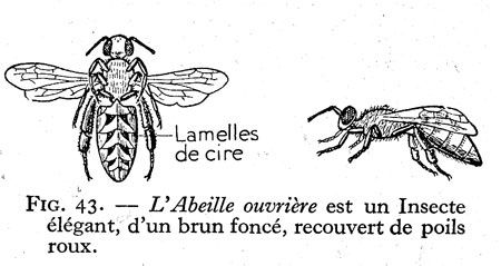requiem-api-1bis.jpg