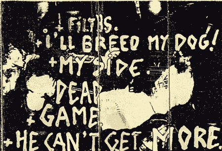 beggar-k7-2.gif