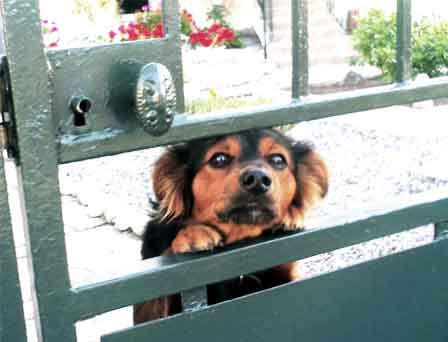 ti-chien.jpg