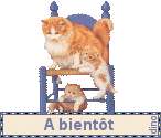 chat10.gif