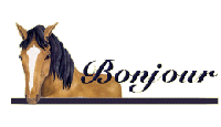 cheval.gif