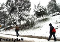 la-neige.jpg