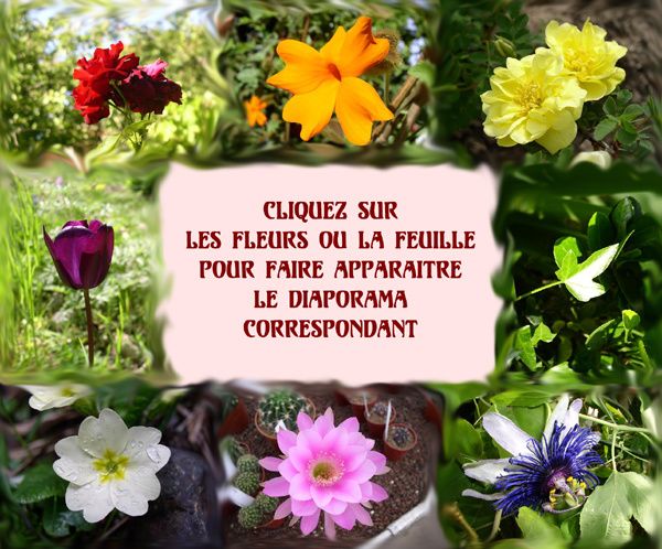 Défilés de Couleurs