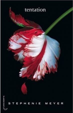 _livre_tentation_stephenie_meyer_m1.jpg