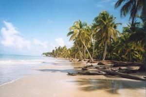 autres-mers-et-plages-las-terrenas-republique-dominicaine-1709710956-248419.jpg