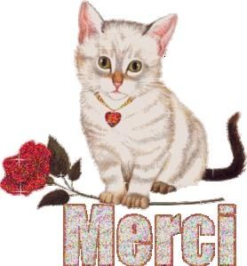 merci.jpg