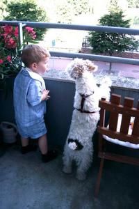 Le chien et l'enfant complicité