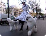 robe assortie aux chiens