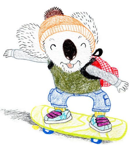 koala-skatteur.jpg