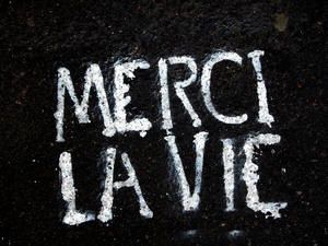 merci-copie-1.jpg