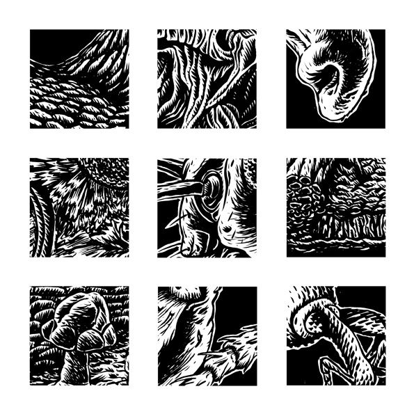 planche-details