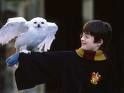 images-harry.jpg