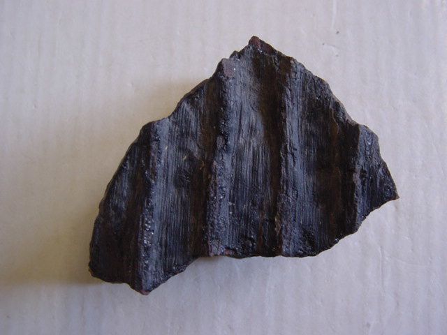 080-Boussu-Westphalien-tronc-fossile-3-6cms.JPG