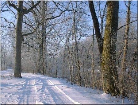 winter wallpaper 04 3