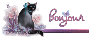 bonjour06.gif