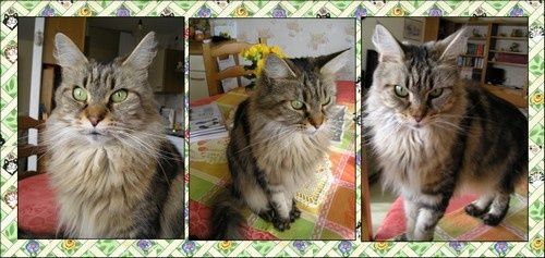 p-n-lope___2008.jpg