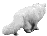cat293.gif