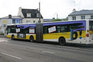 IMG_3641.jpg