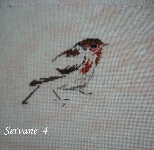 4 Servane