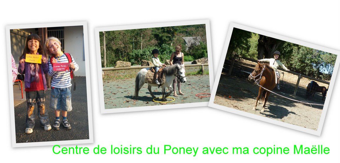 blog-poney.jpg