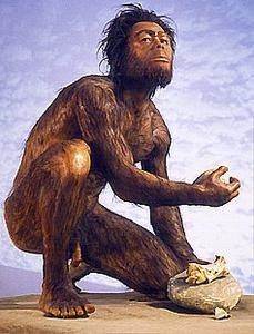 homohabilis.jpg