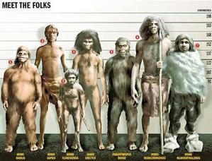 evolution.jpg