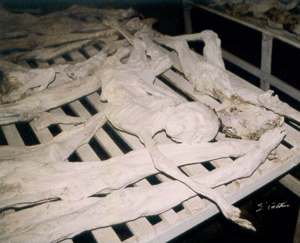 extermination-des-Mayas.gif