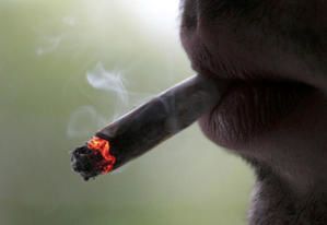 fumeur.jpg