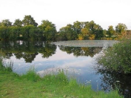 Acheter les lignes pour la pêche bou sur olkh